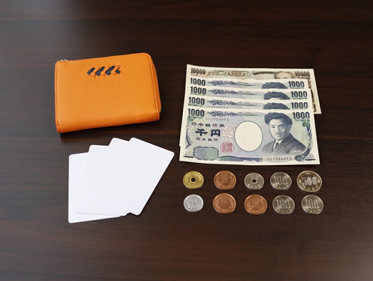 リーヴァ Lファスナーマルチ財布 セッカ（オレンジ）SOLSOMARE（ソルソマーレ）財布レビュー お金 カード 実際の使い心地